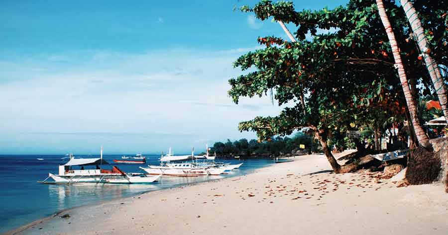 A beach in Bohol.